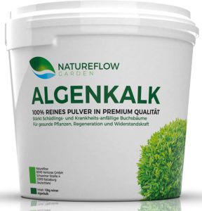 Bio Algenkalk für Buchsbäume